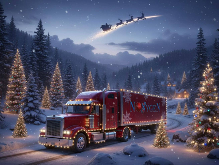 🎄НОВОГОДНИЙ ГРАФИК РАБОТЫ NOXYGEN SHOP🎄