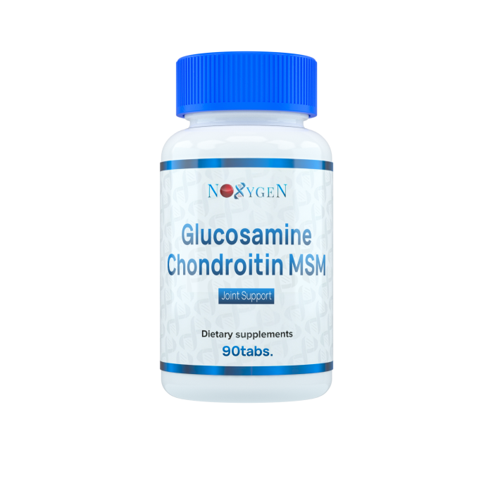 Glucosamine Chondroitin MSM