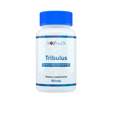 Tribulus (90% saponins) / Трибулус