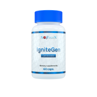 IgniteGen / АйгнитеГен