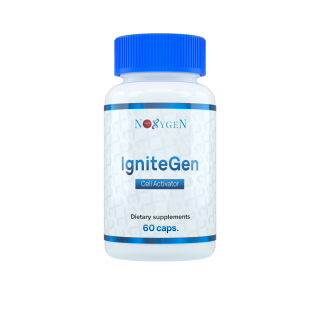 IgniteGen