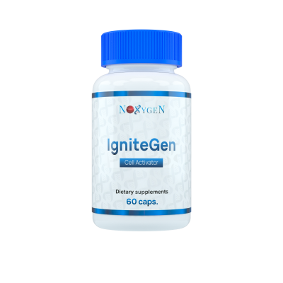 IgniteGen / АйгнитеГен