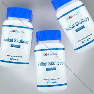 Baikal Skullcap / Шмельник Байкальский