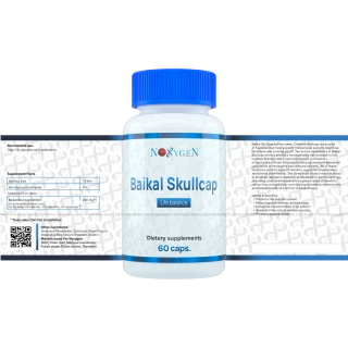 Baikal Skullcap / Шмельник Байкальский