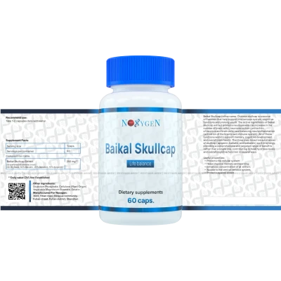 Baikal Skullcap / Шмельник Байкальский