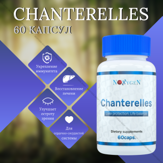 Chanterelles / Лисички